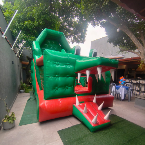 24